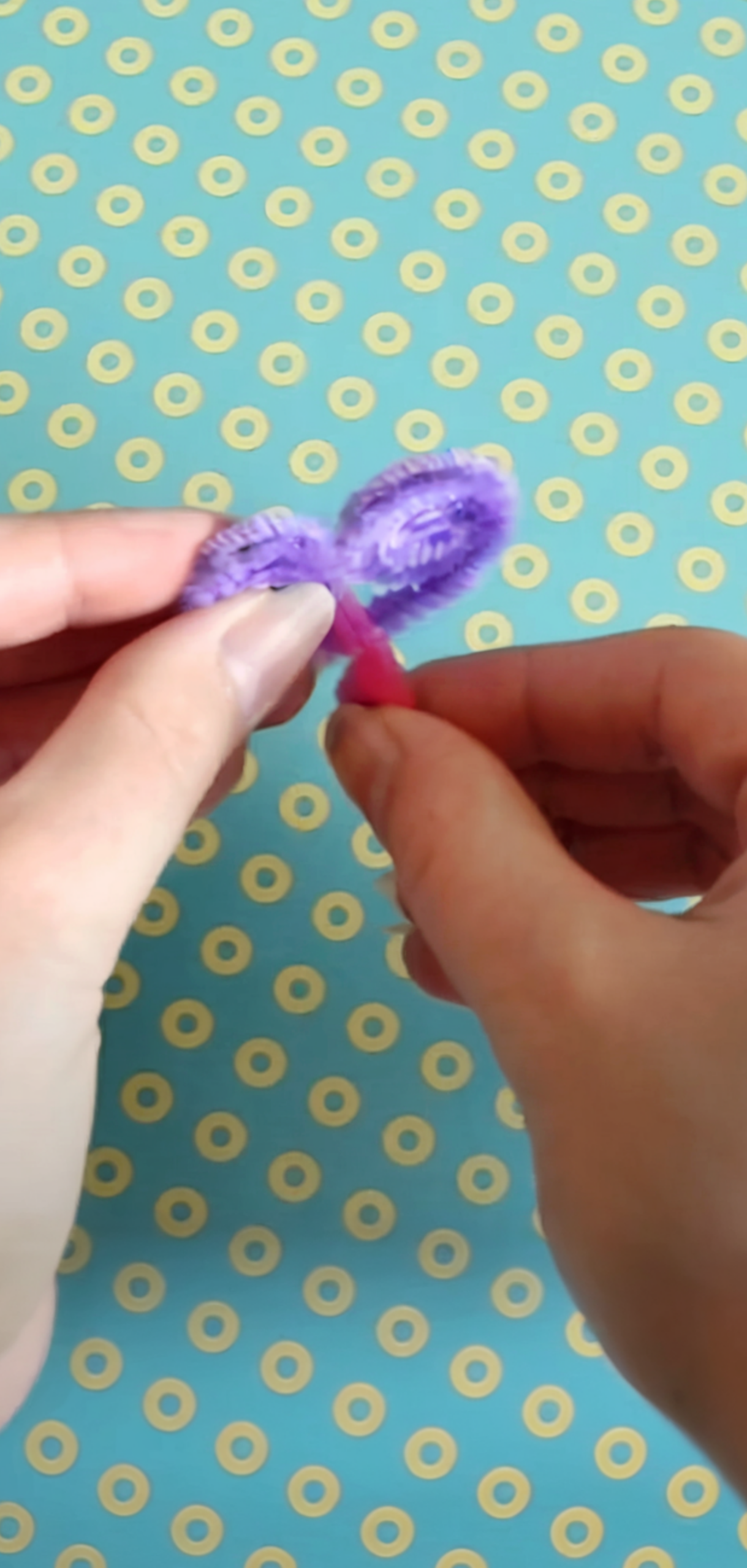 How to Make Pipe Cleaner Butterfly Rings