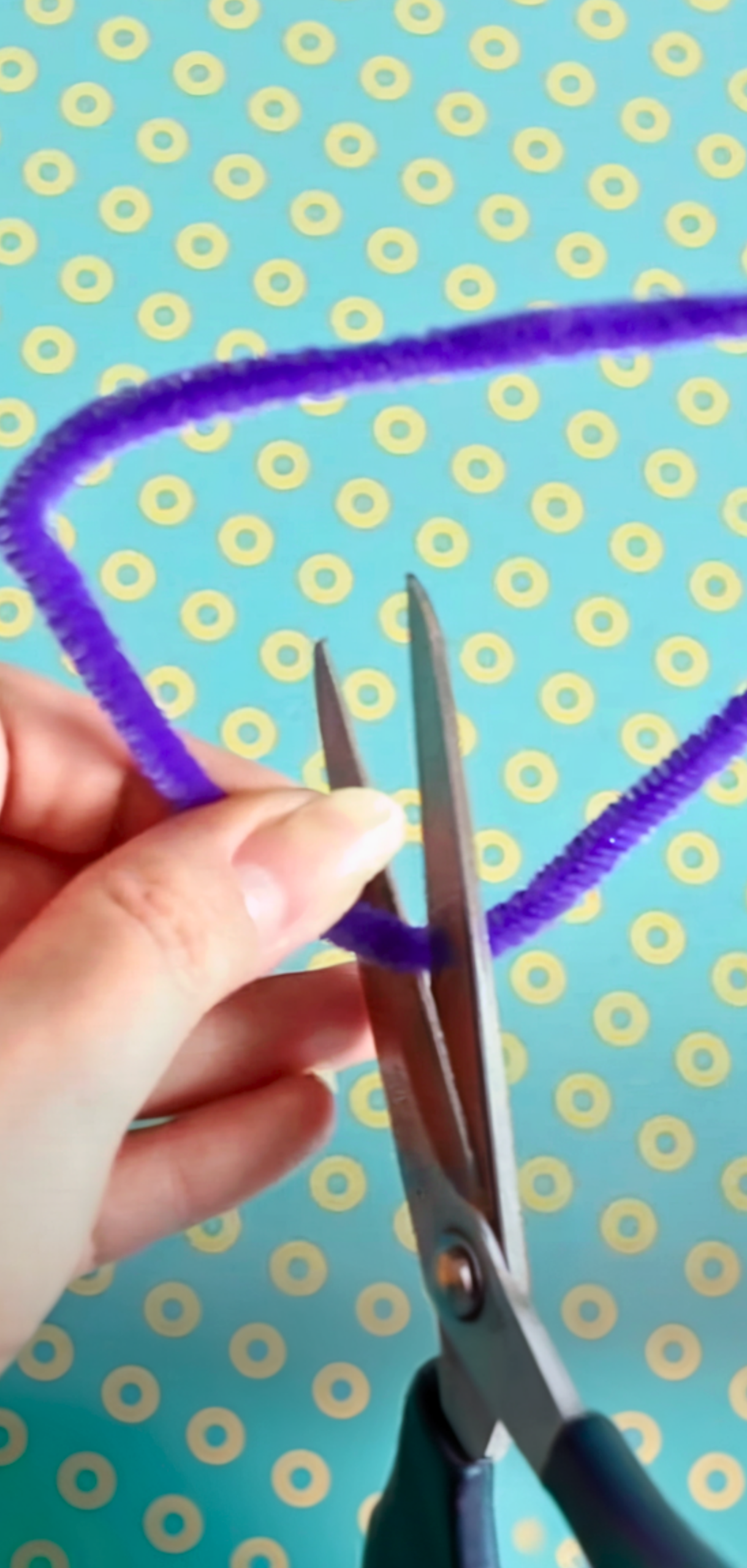 How to Make Pipe Cleaner Butterfly Rings