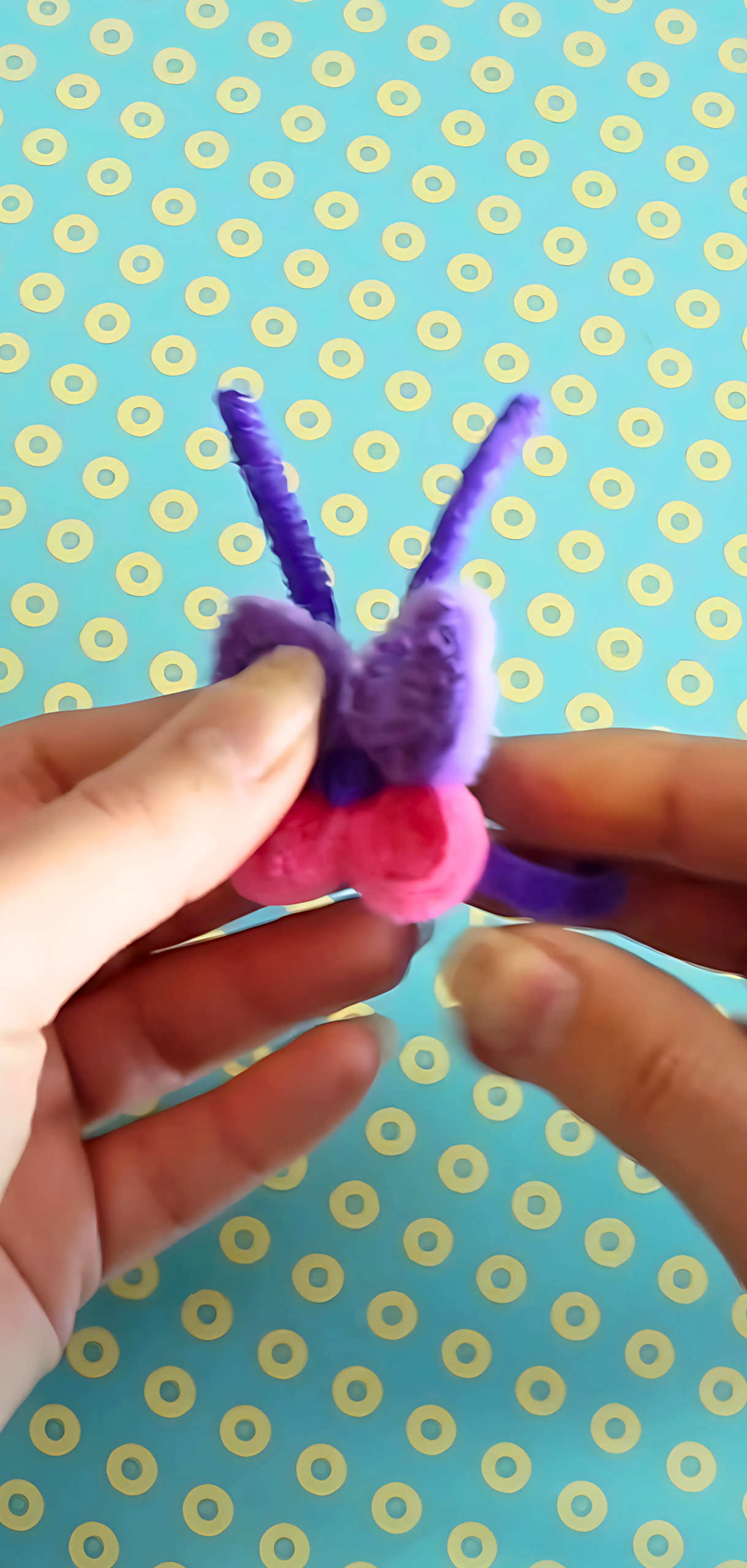 How to Make Pipe Cleaner Butterfly Rings
