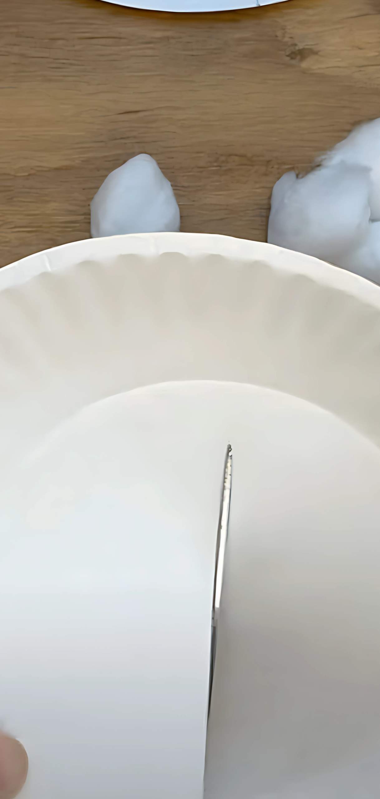 Paper Plate Pie Craft