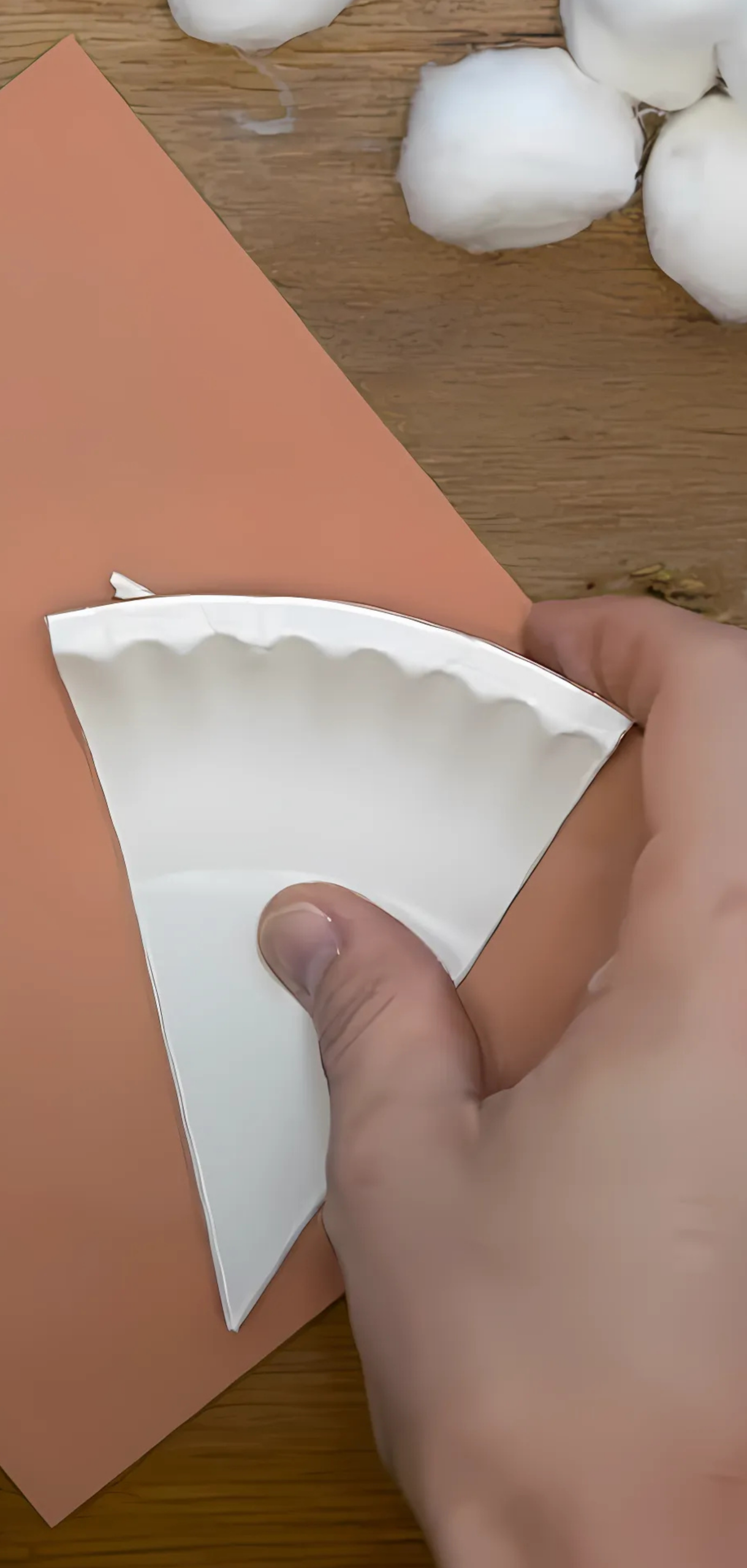 Paper Plate Pie Craft
