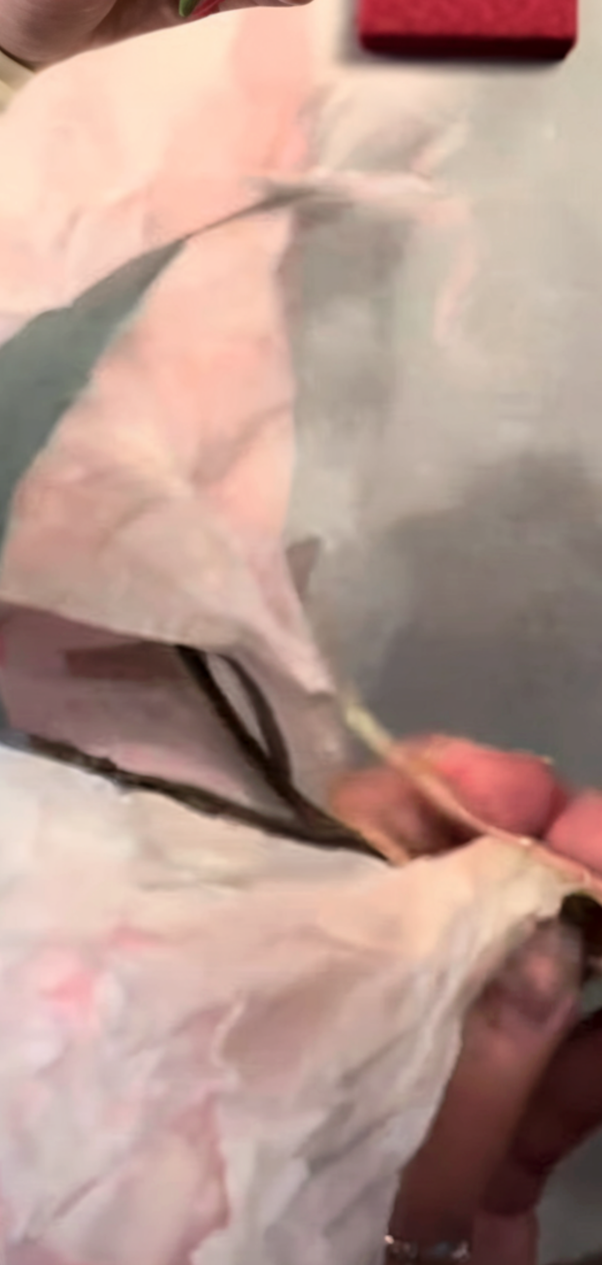 Easy Coffee Filter Flowers