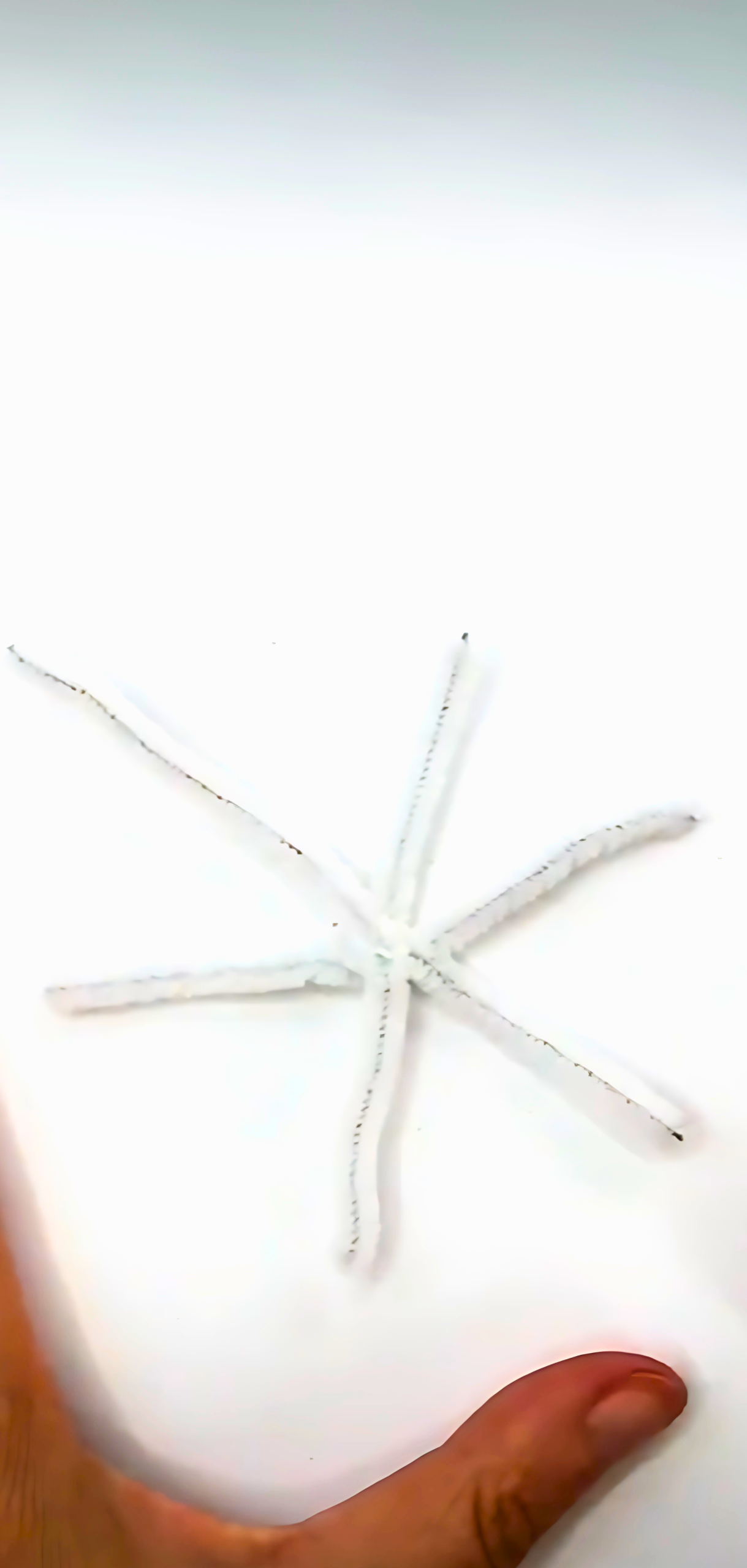 Quick Beaded Pipe Cleaner Snowflakes