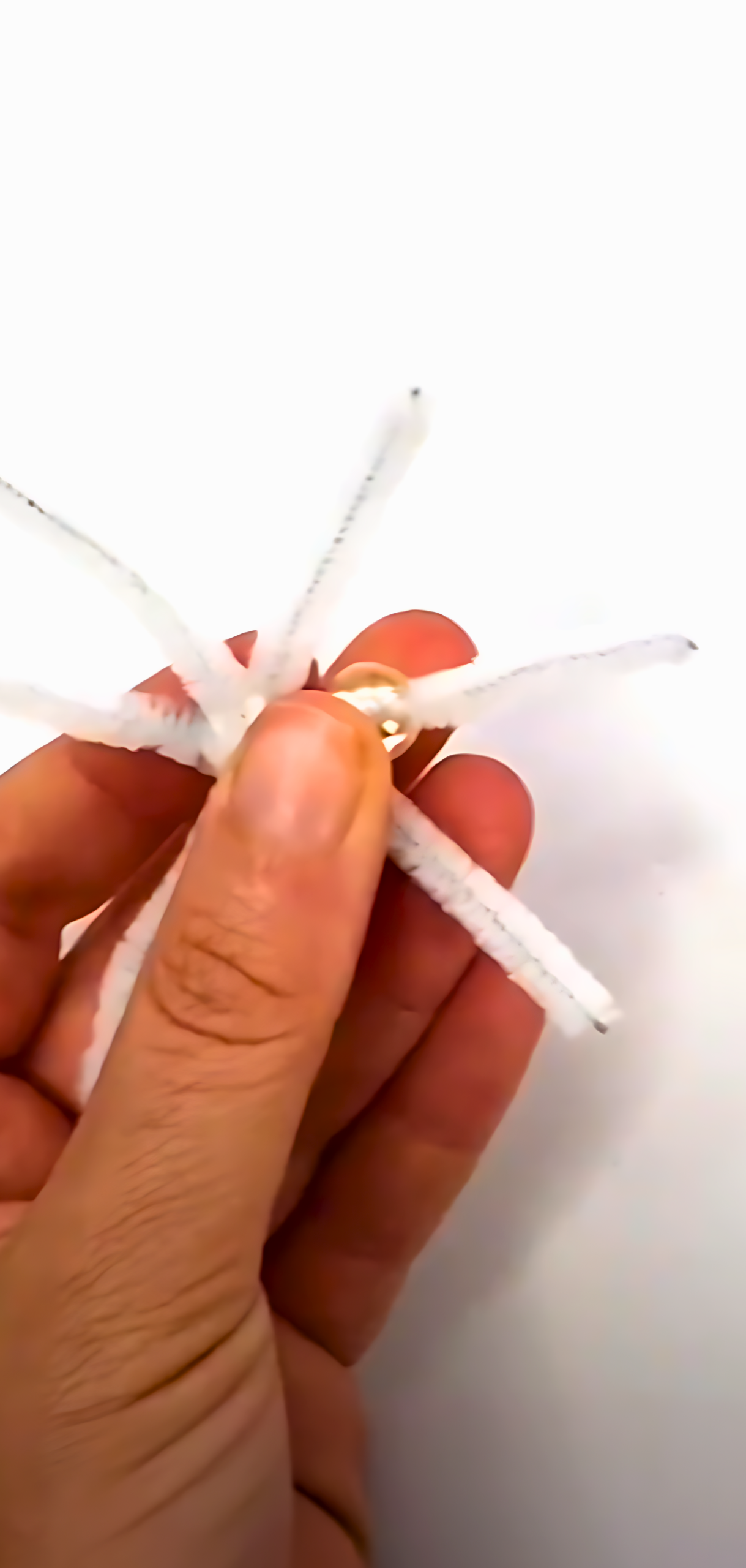 Quick Beaded Pipe Cleaner Snowflakes