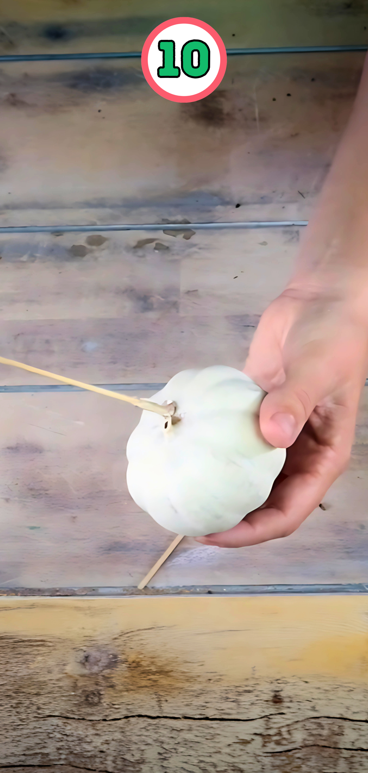 Making Your Plastic Painted Pumpkins Look Real
